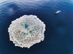 科研成果好不好他们最有发言权