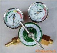 主要研究领域为智能控制