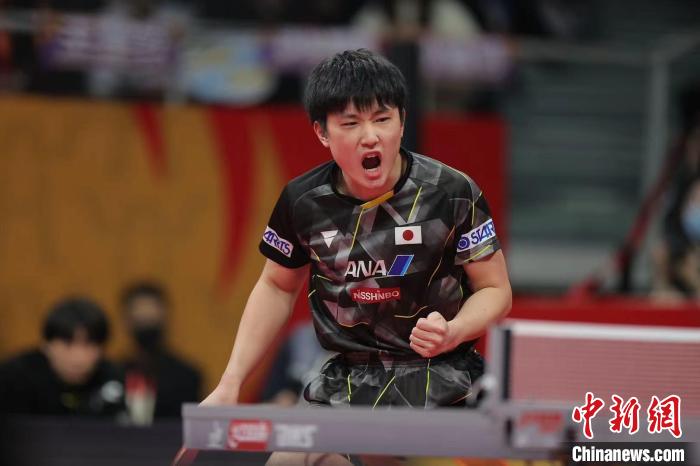 日本队六连胜挺进决赛 张本智和力克老将夺关键